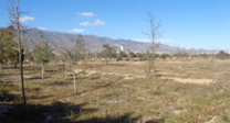 Solar Ejido, el