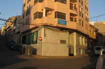 Local Albox