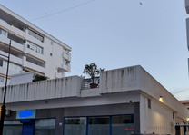Local Fuengirola