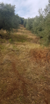 Finca Villacarrillo