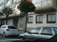 Local León