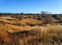 Finca Navalvillar de Pela