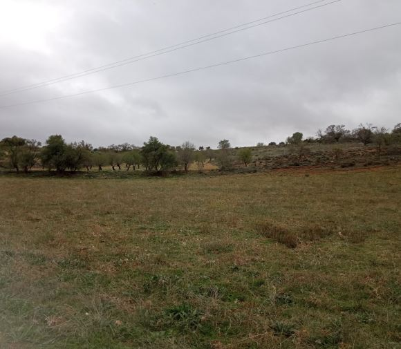 Finca Villarejo de salvanes