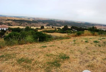 Solar Medina Sidonia