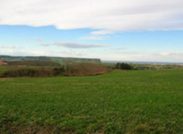 Finca Arnuero