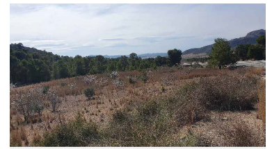 Finca Hellin