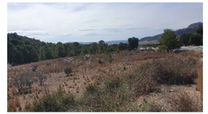 Finca Hellin
