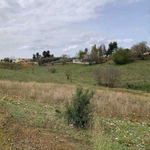 Solar Alcala de guadaira