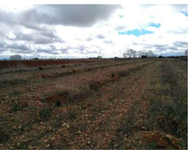 Finca Chozas de abajo