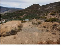 Solar Alcolea