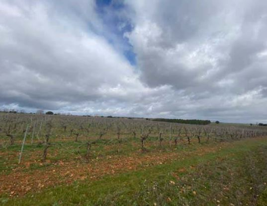 Finca Chozas de abajo