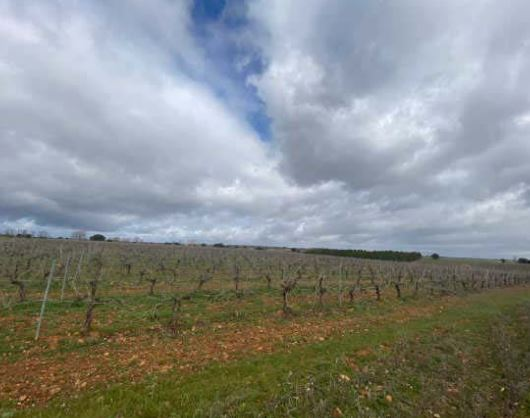 Finca Chozas de abajo