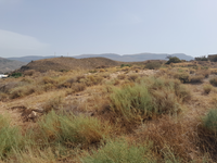 Finca Berja