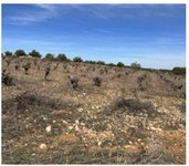 Finca Belmonte de tajo