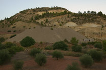 Finca Jalance
