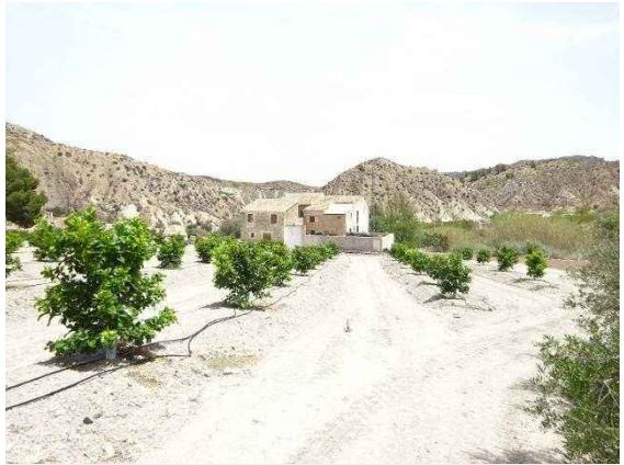 Finca Ricote