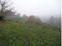 Finca Matallana de Torio
