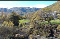 Finca Palacios del sil