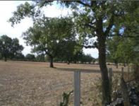 Finca Villares de Yeltes