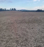 Finca Quintanarraya