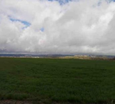 Finca Palenzuela
