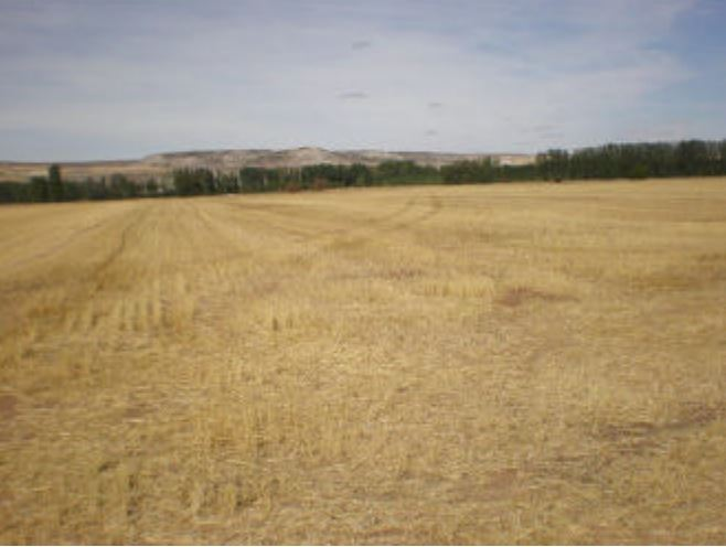 Finca Palenzuela