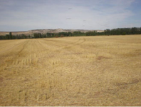 Finca Palenzuela