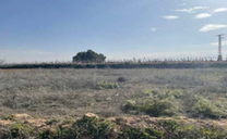 Finca Puebla de almoradiel, la