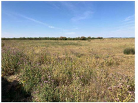 Finca Puebla de almoradiel, la