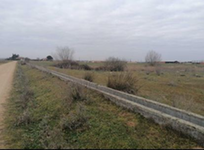 Finca Villaralbo