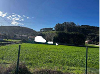 Finca Oreña